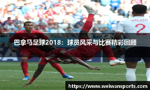 微玩体育平台