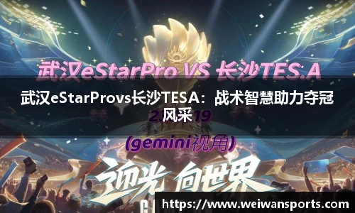 武汉eStarProvs长沙TESA：战术智慧助力夺冠风采