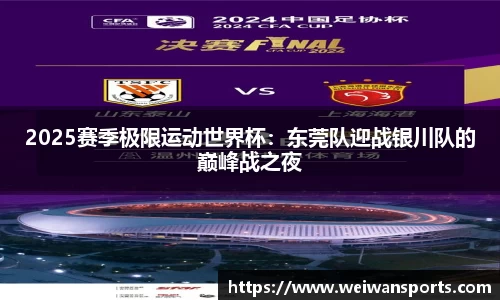2025赛季极限运动世界杯：东莞队迎战银川队的巅峰战之夜
